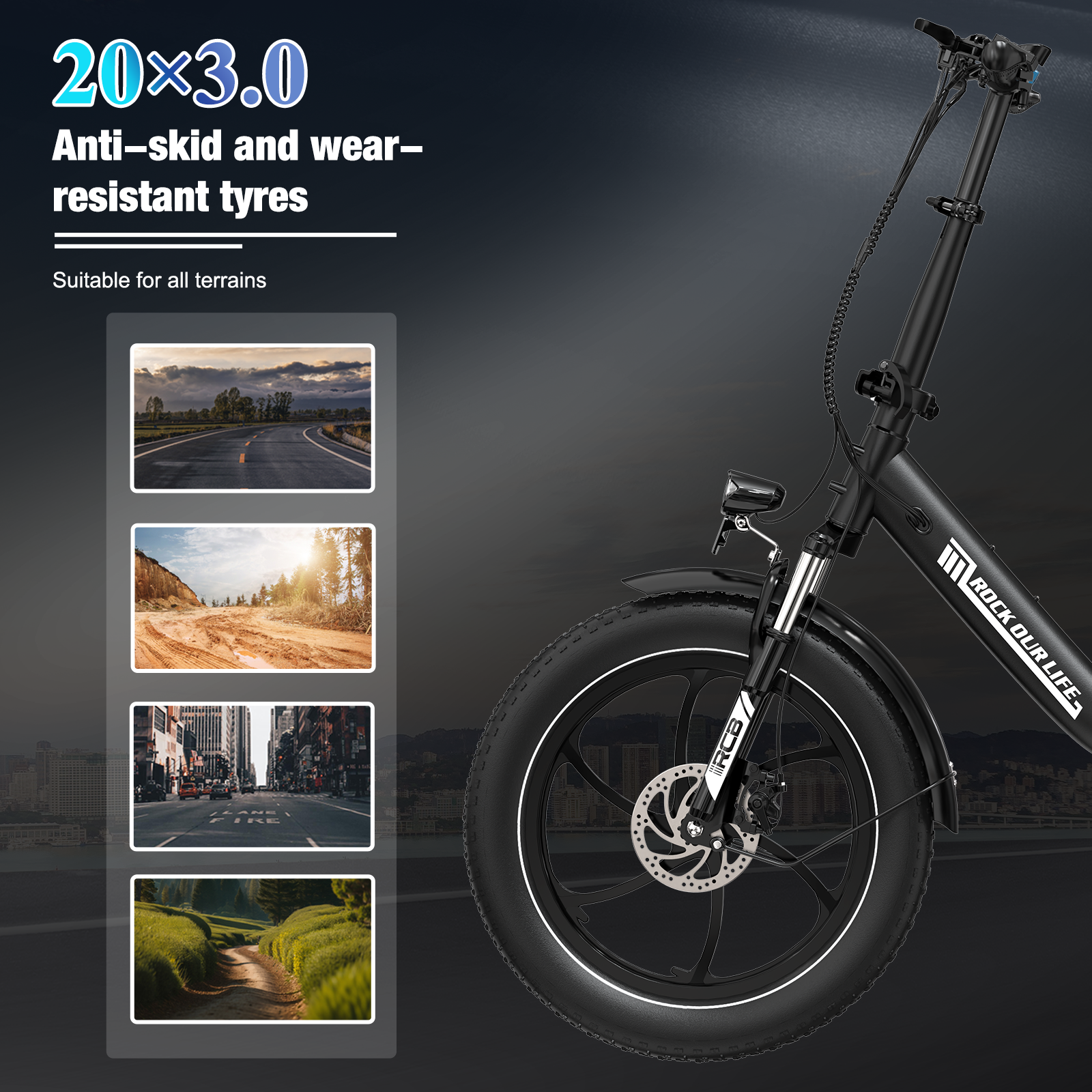 RCB RK6 Fat Tire Folding Electric Bicycle(RCB E BIKE)