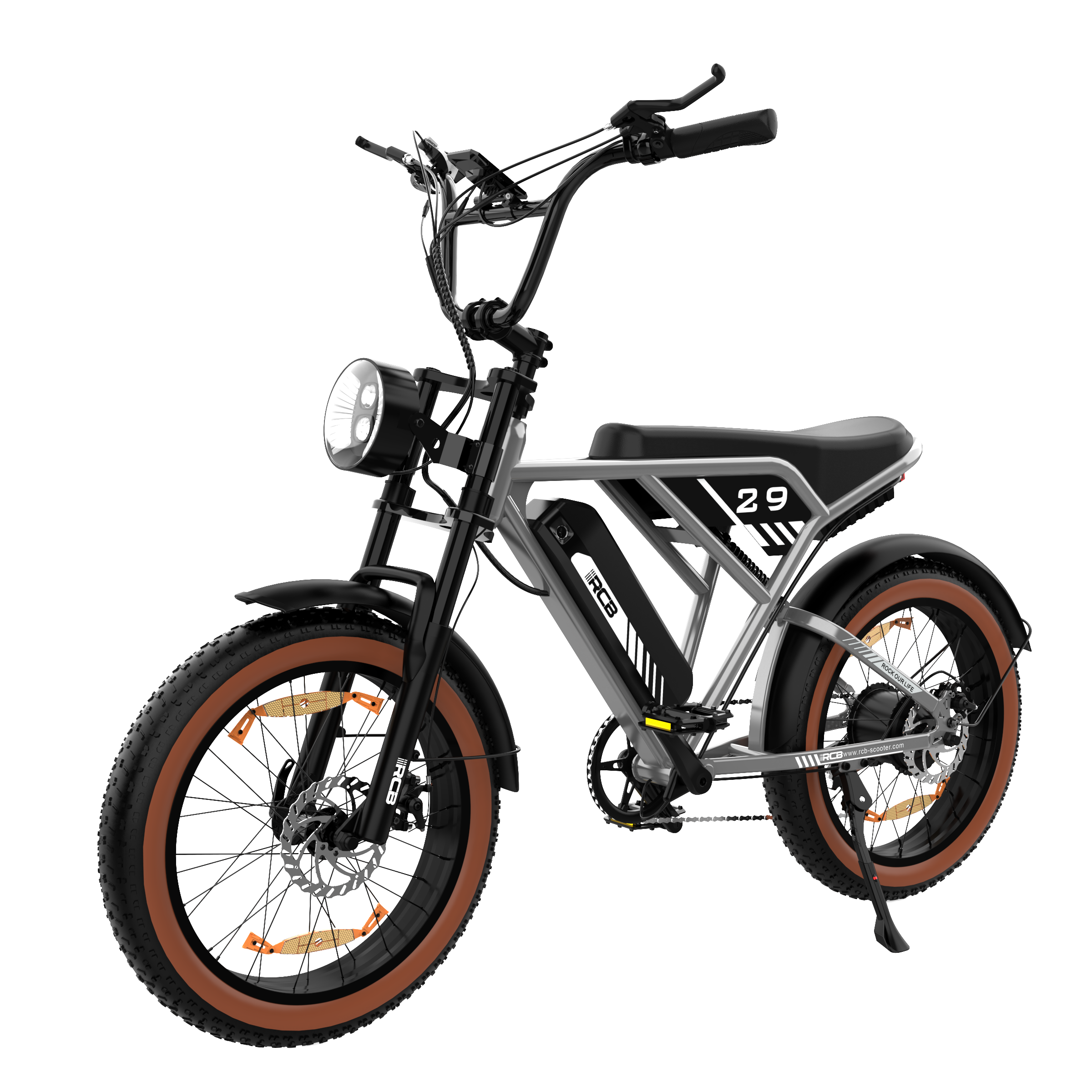 RCB RK29 Electric Bike for Adults(RCB E BIKE)