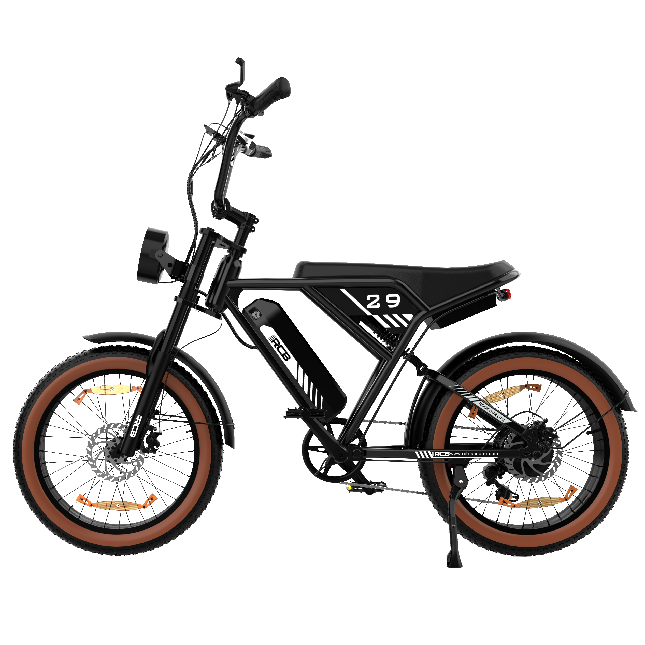 RCB RK29 Electric Bike for Adults(RCB E BIKE)