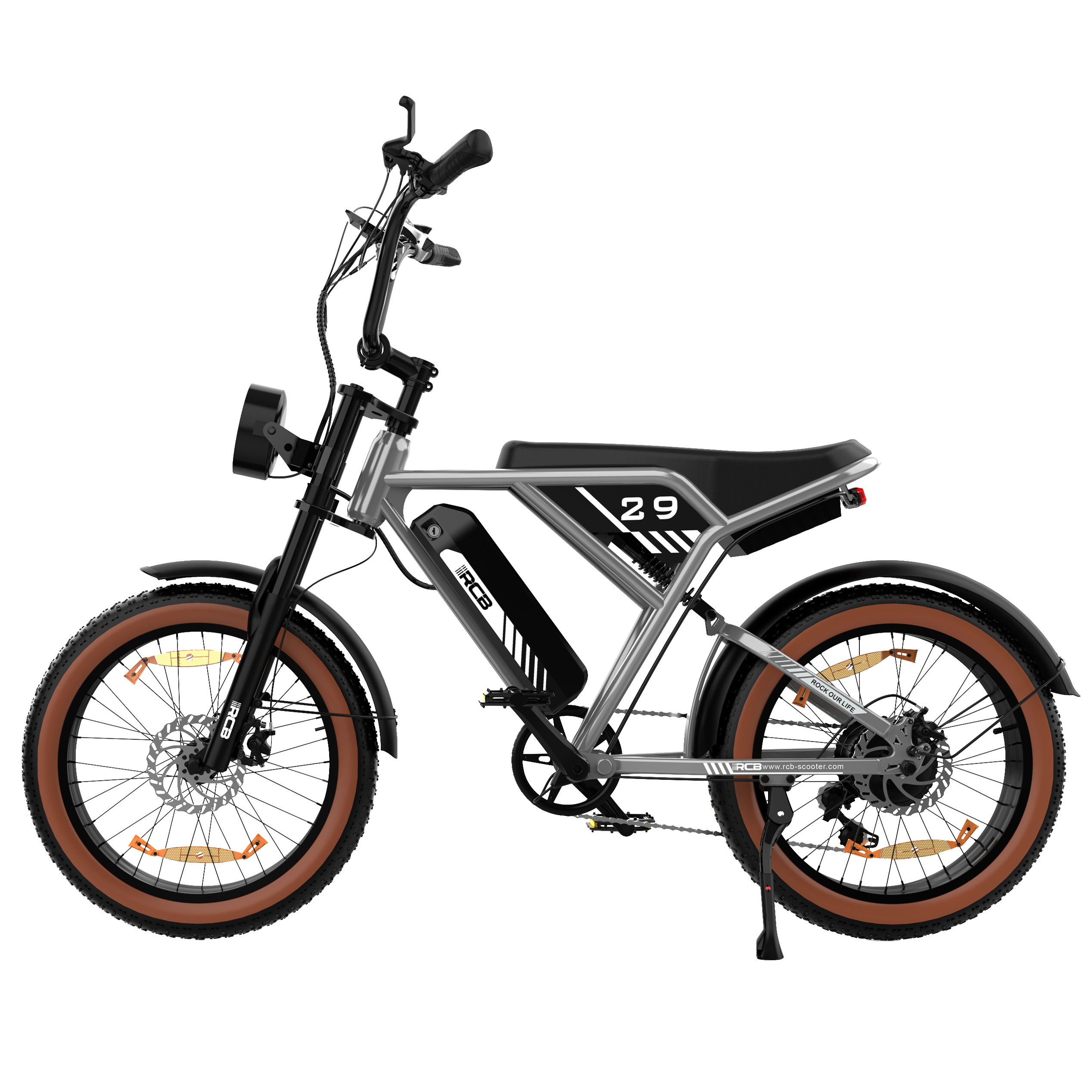 RCB RK29 Electric Bike for Adults(RCB E BIKE)