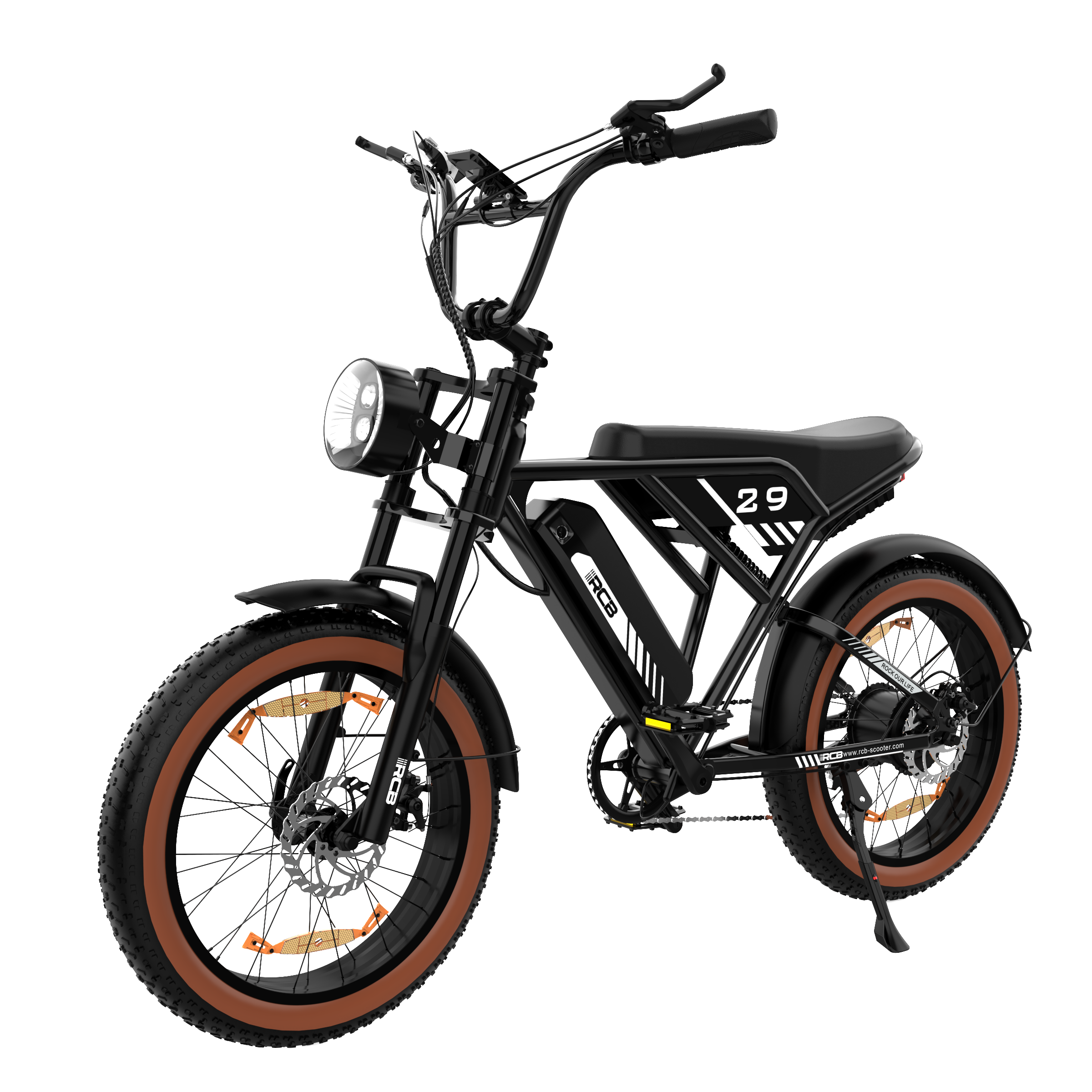 RCB RK29 Electric Bike for Adults(RCB E BIKE)